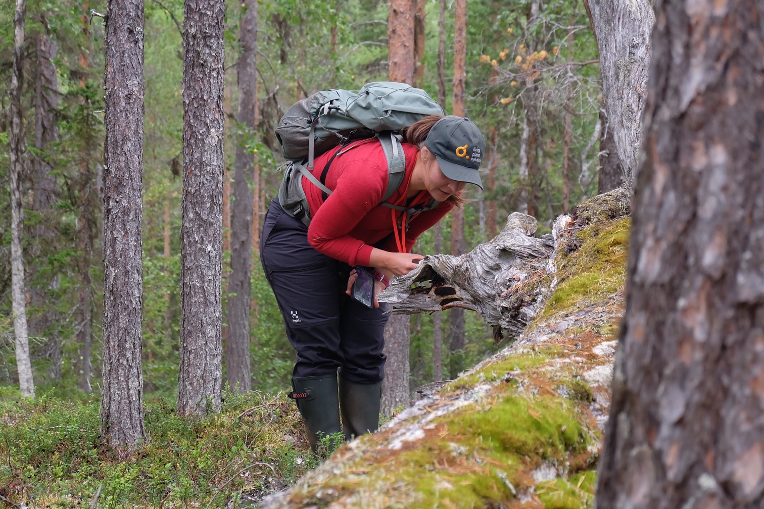 Naturvärdesinventering Ecogains ekologer inventerar biologisk mångfald med det senaste innovativa och effektiva lösningar.