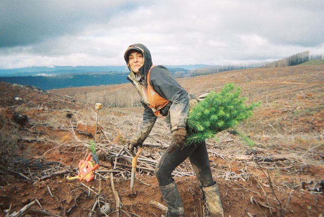 Opportunity knocks in forestry a pursuit to literally build Australia's future with 70 million new trees planted every year - Australian Forest Products Association