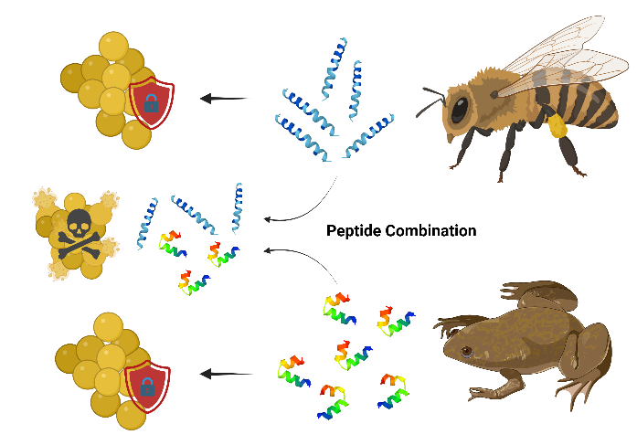 A diagram of a bee and frogAI-generated content may be incorrect.