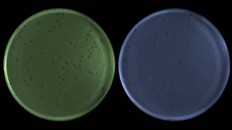 A close up of a green and blue circleAI-generated content may be incorrect.