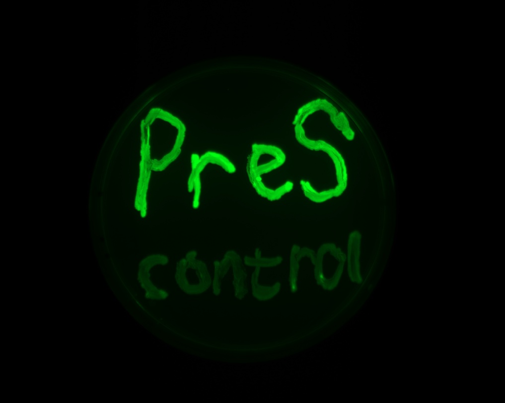 A green light on a circular objectAI-generated content may be incorrect.