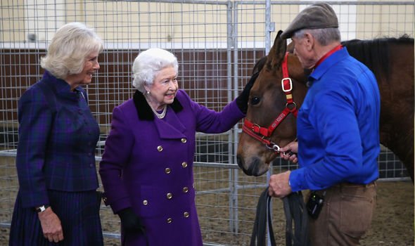 A person and person standing next to a horse Description automatically generated with medium confidence