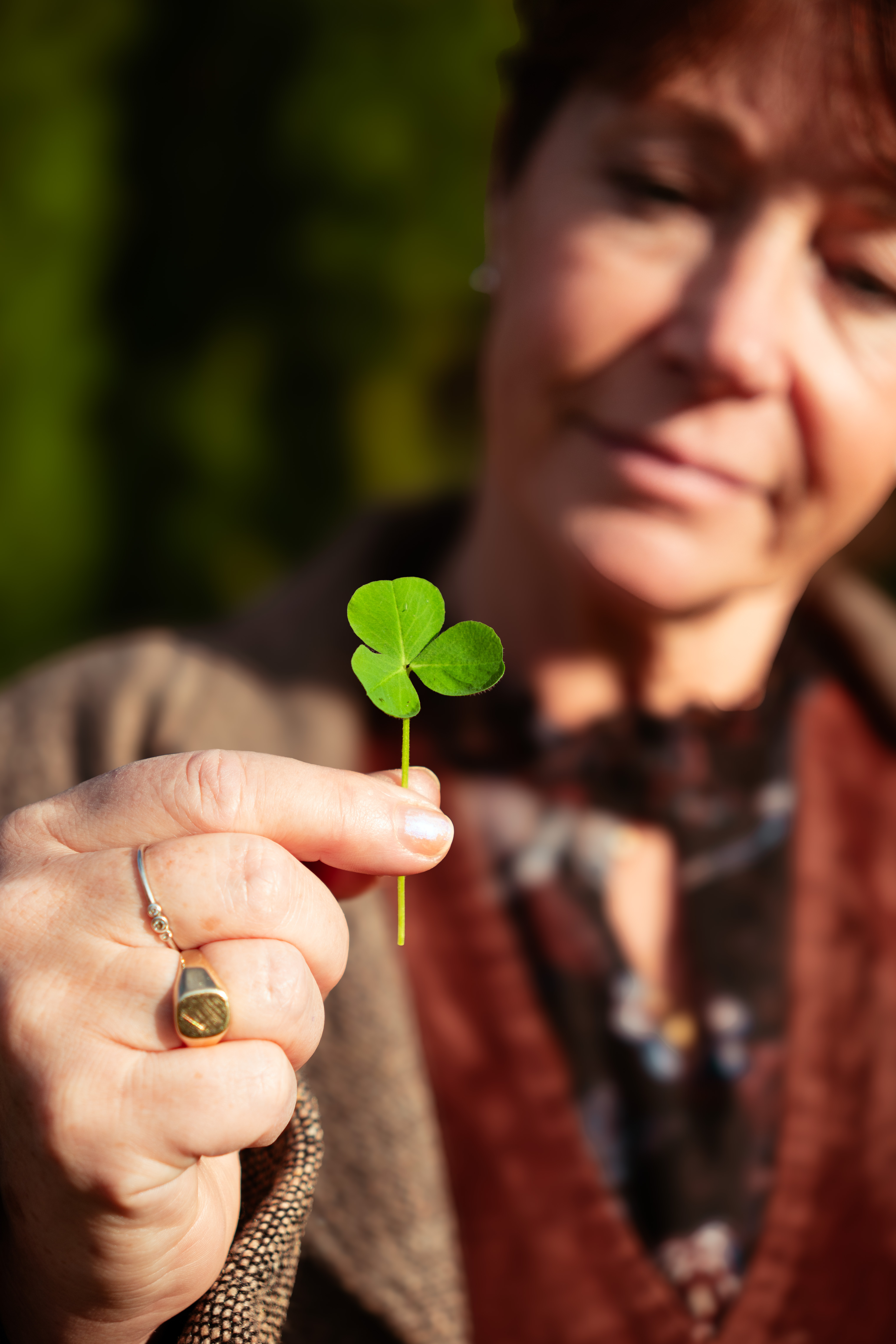 Kasteel Amerongen organiseert Irish Harvest